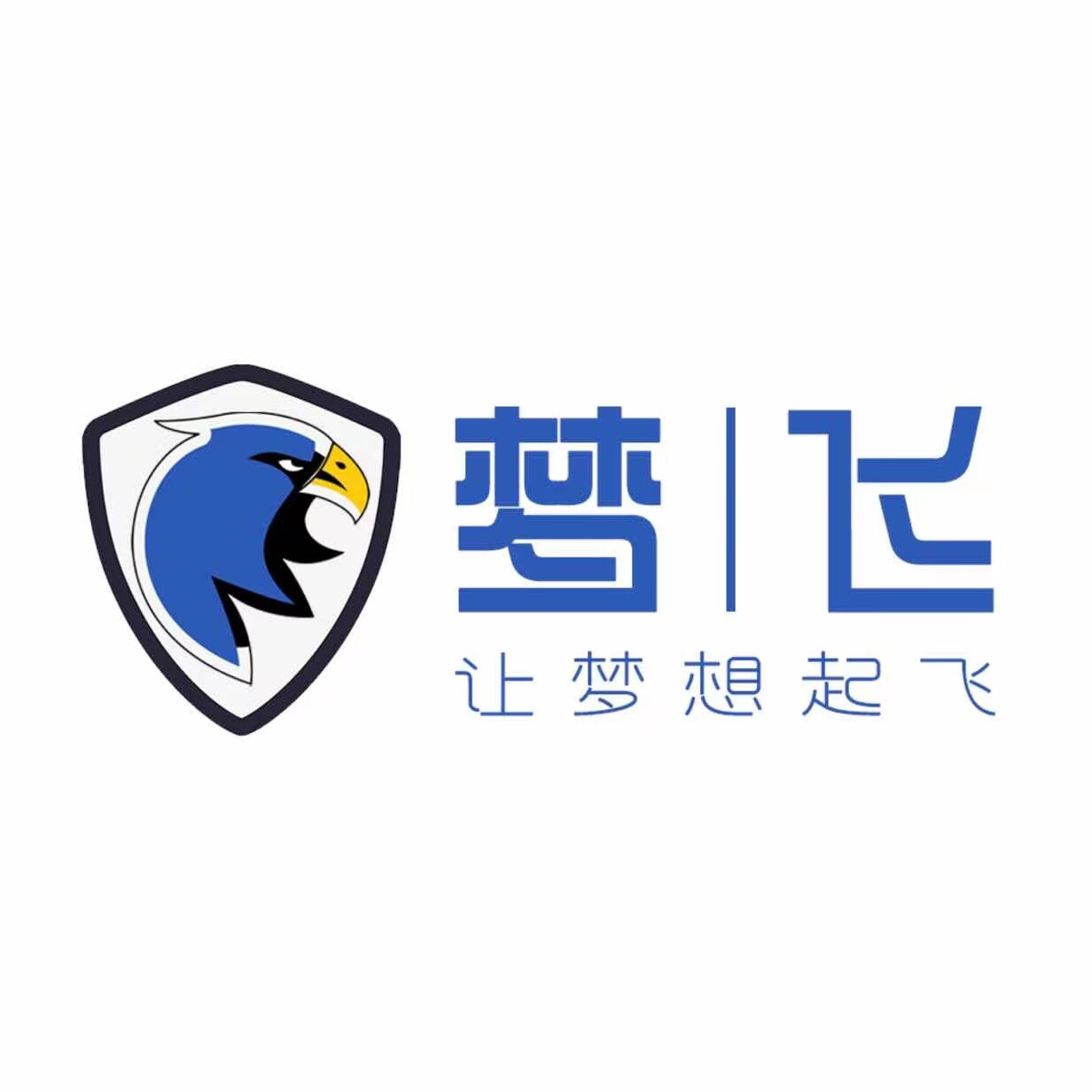 梦飞网游品牌店