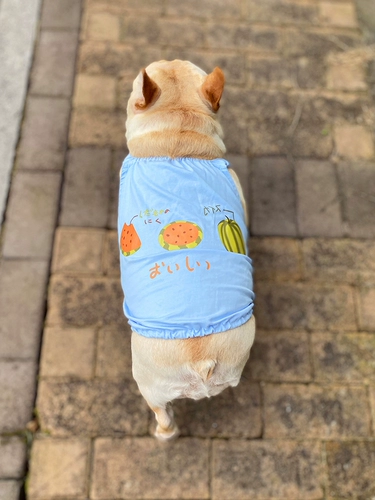 Оригинальная летняя тонкая майка топ, жилет, делается под заказ, эффект подтяжки