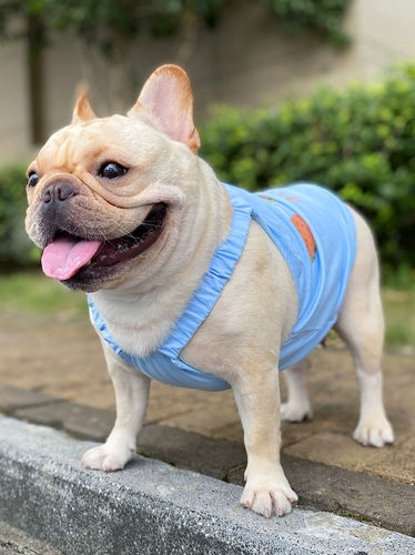 Оригинальная летняя тонкая майка топ, жилет, делается под заказ, эффект подтяжки