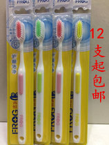 12 sets of frog hair adult toothbrush 106B high density medium hair cleaning adult toothbrush