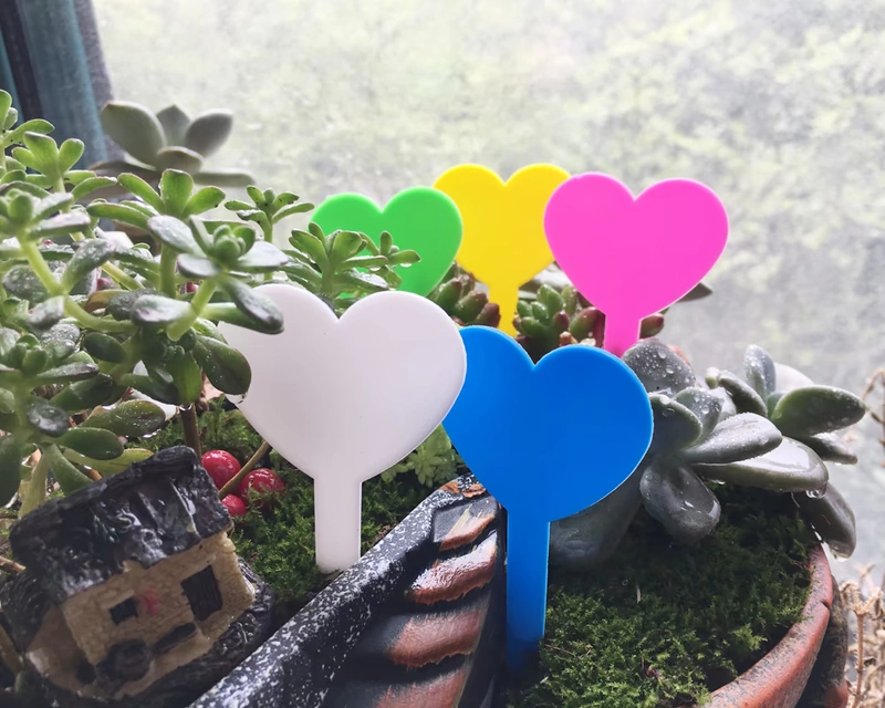 Cây xanh Làm vườn Cây mọng nước Nguồn cung cấp chậu hoa Dụng cụ Giá Thẻ Nhãn hiệu PVC Chống thấm Tên hoa Vi cảnh Dấu hiệu - Nguồn cung cấp vườn