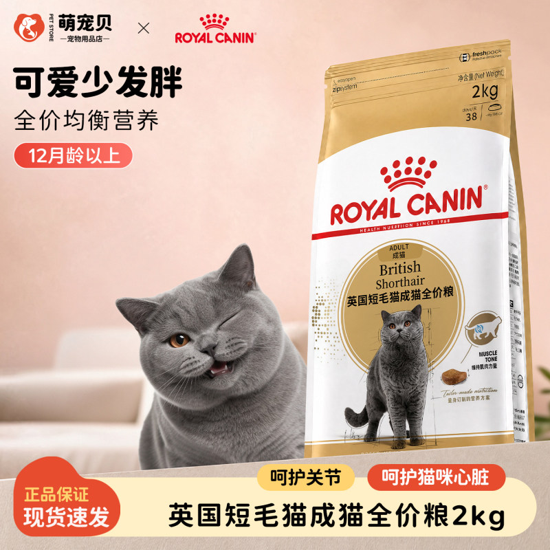 Royal Cat Food British Shorthair Adult Cat Food Bs34 Blue Cat Kitten Food Special Silver Gradient Cat Main Food Royal Cat Food British Shorthair Adult Cat Food Bs34 Blue Cat Kitten Food Special Silver Gradient Cat Main Food