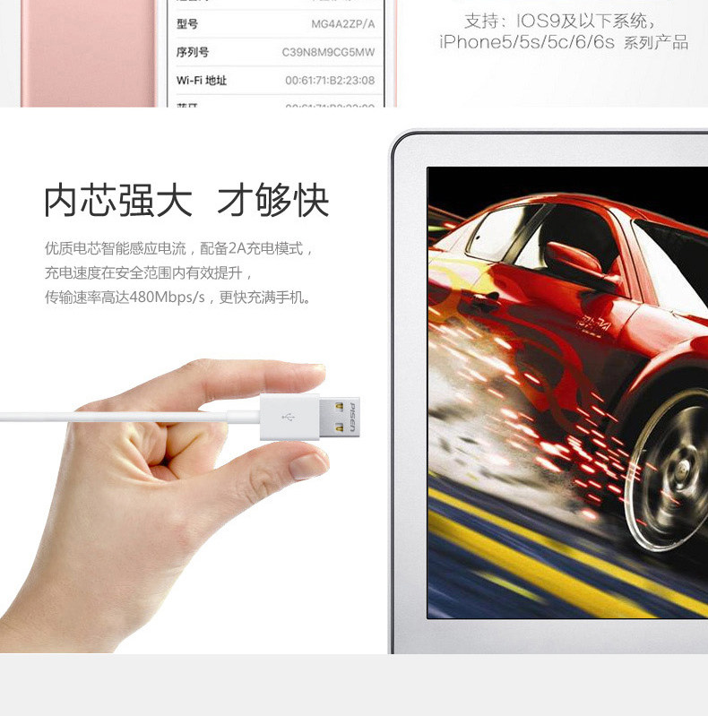 chargeur PISEN pour téléphones APPLE APPLE IPHONE5S - Ref 1299294 Image 19