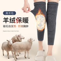 Winter old men and women in the knee pads wear real cashmere warm and cold-proof knee joints old cold leg guards