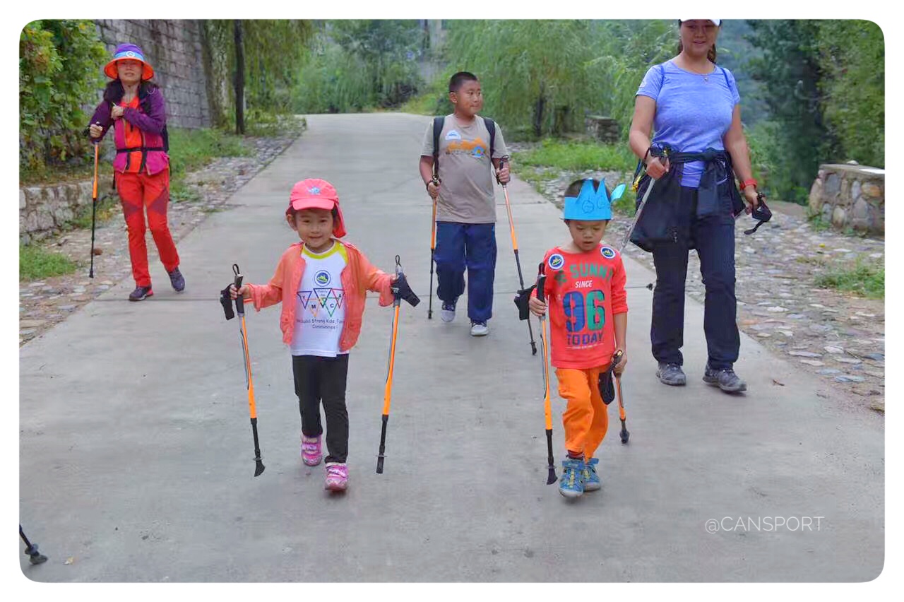 Cực chính hãng Robinson trekking đi bộ Bắc Âu đi bộ tập thể dục đi bộ gậy ba phần kính thiên văn carbon siêu nhẹ 1 cặp gậy đa năng