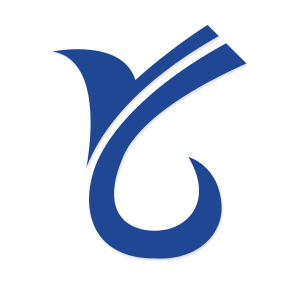 精英电子