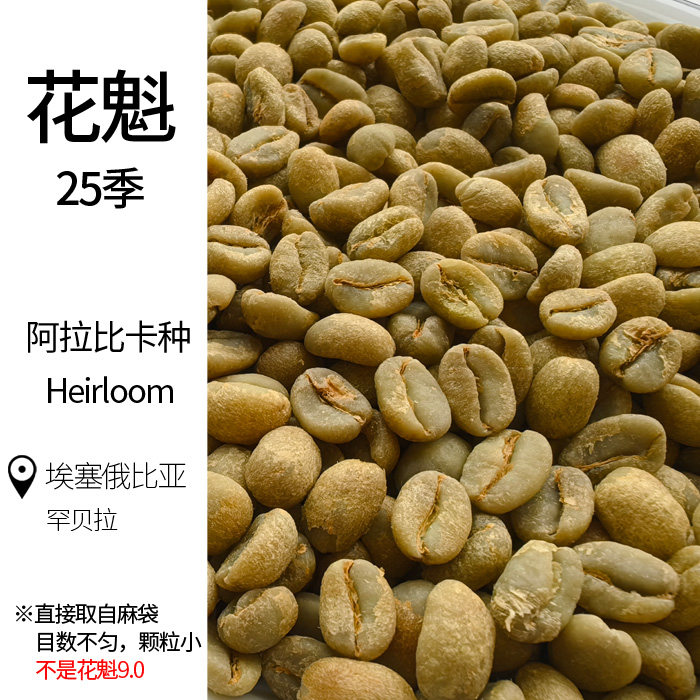 阿里巴巴达摩院：科技巨擘背后的神秘力量，如何塑造未来科技版图？