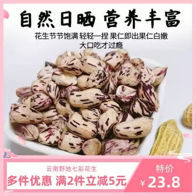 Yunnan Xishuangbanna specialty colorful peanut purple Peel peanut with Shell super new peanut color peanut
