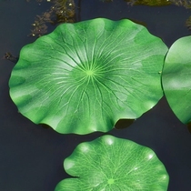 Green water water flower planting Lotus fake lotus fake lotus leaf simulation lotus floating water lily pool