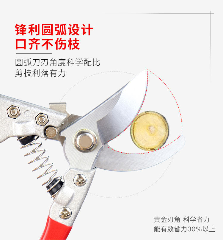 园艺剪刀果树修枝剪：修剪艺术，让每棵树都成为风景线！-工具箱内衬-淘宝百科网