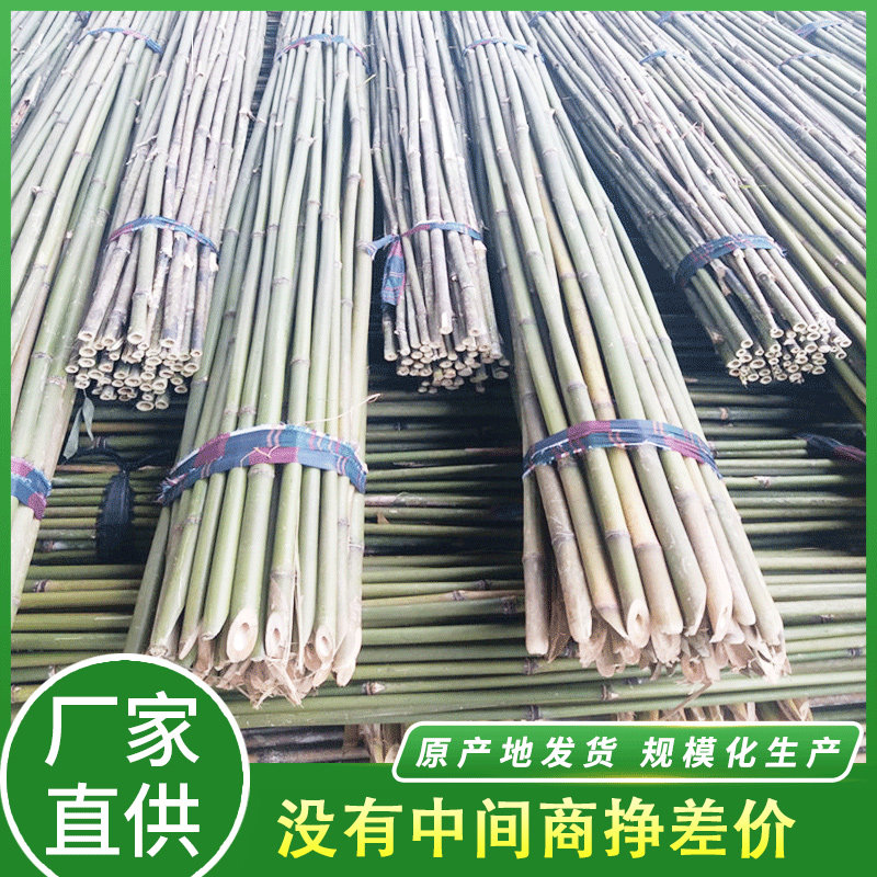 Bamboo 2 m plant Climbing Rattan rack wool bamboo top bracket Vegetable Rack Bean Corner Fine Bamboo Pole Color Flag Dancing Bamboo Pole Stick-Taobao