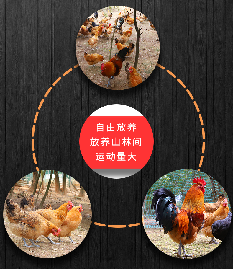 正宗散养农家土鸡 2斤*2只 图3