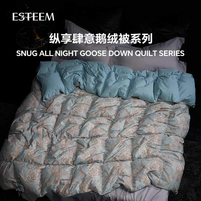 Yiting Hungarian Imported 95% White Goose Washable down Quilt for Summer, Spring, Autumn and Winter