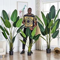 Large Nordic traveler Banana simulation green plant Bird of paradise potted Turtle back leaf Turtle living room ins plant decoration