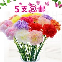 Artificial carnations fake flowers silk flowers Plastic flowers Living room coffee table decorative bouquet Wedding hand bouquet Mothers Day gift