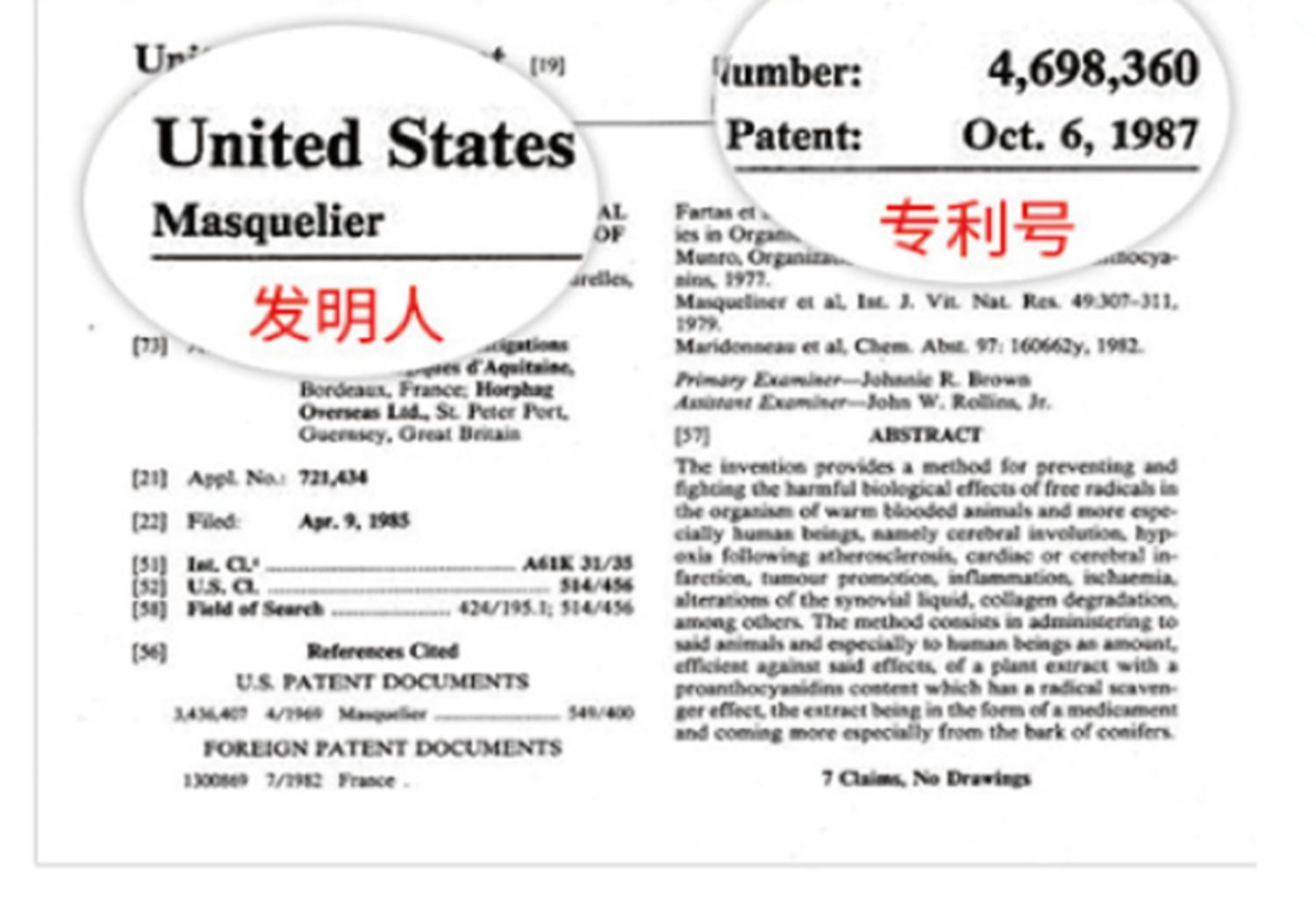 澳洲月光宝盒葡萄籽胶囊100粒