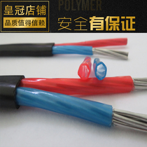 Wire BLVVB2 core 6 square GB 2 5 4 10 sheathed wire double aluminum core overhead line outdoor cable