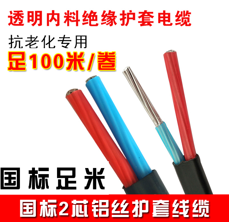 Agricultural Net Renovation Anti-Aging National Standard 4 6 10 16 16 25 square double core aluminium wire 2 core cable sheath wire