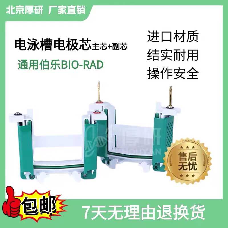 电泳芯架子伯乐BIO-RAD电极架国产通用实验WB电泳槽主体主芯副芯