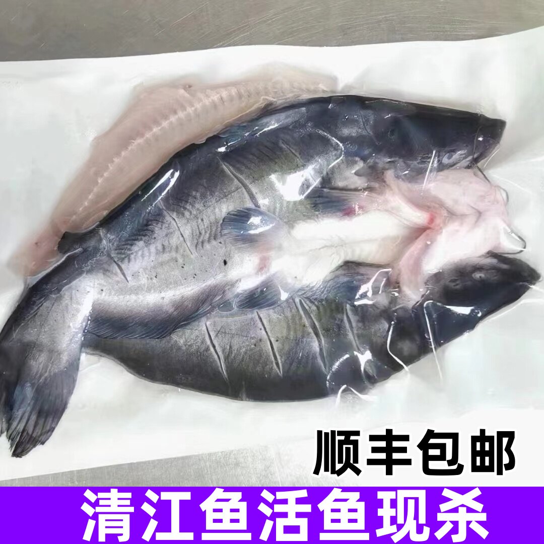 鮰鱼是什么档次的鱼？🐟选购与食用指南-生活-淘宝百科网