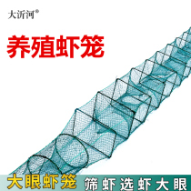 Shrimp cage lobster net shrimp cage large eye section cage shrimp net shrimp net Cage large crayfish breeding