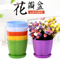 Flower pots for growing lilies and roses Long vines Good-looking red raspberries Indoor permeable orchid pots Camellia pots