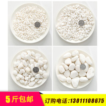 Pebbles Natural Small White Stone Fleshy Pavement Potted Flower Pot Garden Garden Landscape Decoration White Stone