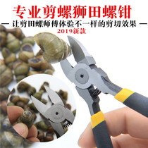 Shear snail tail clamp snails jian wei qian sub-snail scissors tail artifact shear stone snail of scissors screws pliers