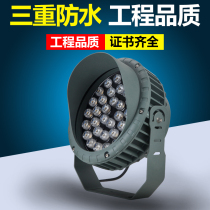 Outdoor LED spotlight lawn light outdoor floodlight Project Lighting light tree light new product