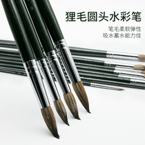 Taiwan imported Wynn raccoon hair watercolor painting pen Brush painting round head oil painting pen set for art beginners