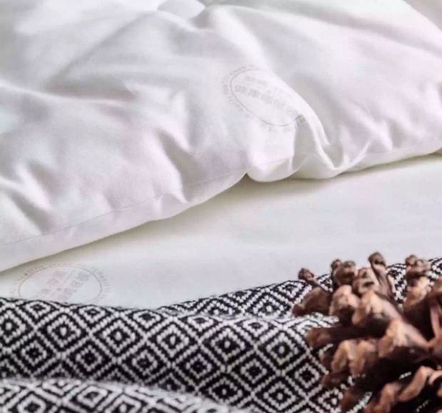 Mùa thu và mùa đông ấm áp sợi mùa đông là cotton đơn giản chống mền trắng đôi chăn đôi 2 m lõi 	chăn bông mùa đông giá rẻ