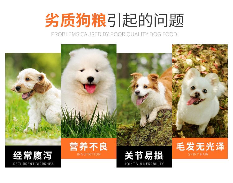 Xiao Yangsen đấu bò cá tươi Thịt chó Thức ăn Jin Mao Demu Bully tự nhiên Alasama Moyer Chó lớn tự chế phổ quát - Gói Singular thức ăn khô cho chó