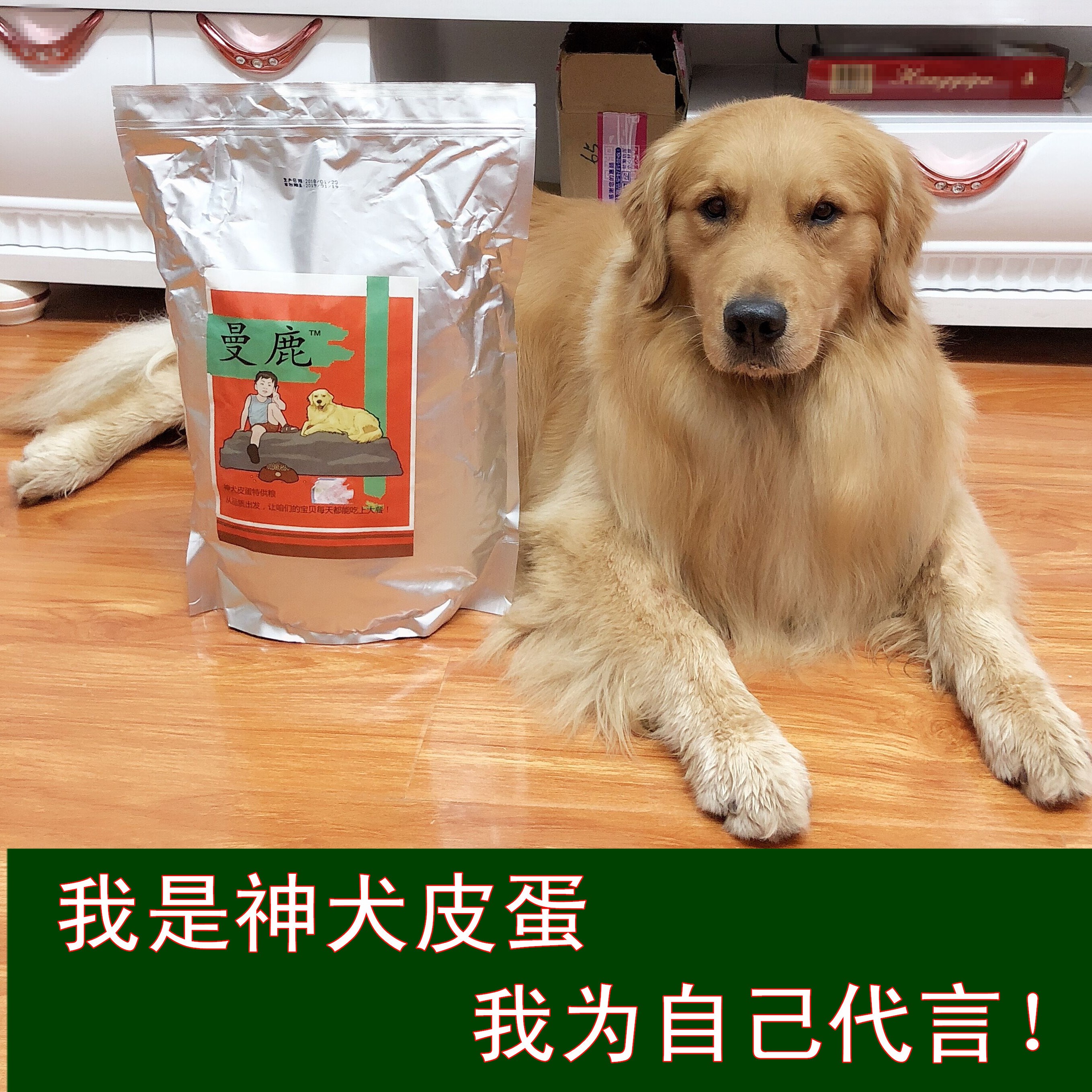 Thức ăn cho chó con Manlu tải 5 kg dưới 10 tháng phổ chó giống tất cả các loại thức ăn cho chó da chó - Gói Singular thuc an cho meo