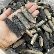 Yingying Fish Glue |ye Raw Sea Cucumbers Dry Goods Price Performance Ratio Bald Red Ginseng