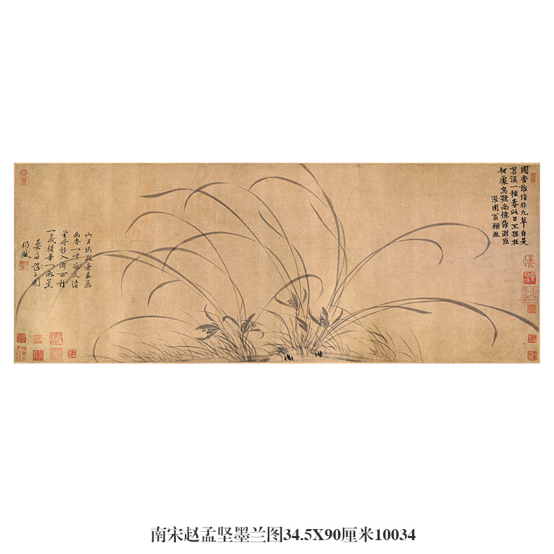 南宋赵孟坚墨兰图兰花图古代花鸟画卷轴国画名画复制品仿古画字画