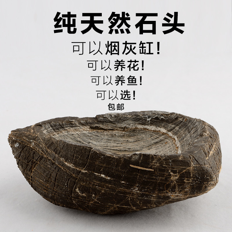 Stone Flower Pot Creative Ornament Natural Zen Style Succulent Pennywort Calamus Hydroponic Container Indoor Living Room Decorative Stone