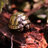 Долголетие черепаха чай домашние животные бронзовые моторные руль на руле.