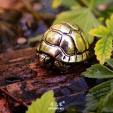 Долголетие черепаха чай домашние животные бронзовые моторные руль на руле.