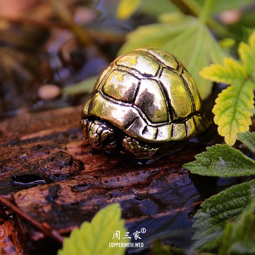Долголетие черепаха чай домашние животные бронзовые моторные руль на руле.