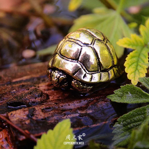 Товары от 童熙周