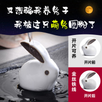 Small fresh tea pet ornaments boutique can be raised Purple sand Ge kiln open piece Ru Kiln ceramic rabbit ornaments Tea set accessories