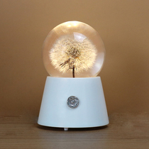 The dandelion specimen crystal ball ceramic music box octave box night light gives elders a birthday gift for Christmas