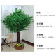 Simulated Banyan Tree, Artificial Large Plant, Hotel Mall Wedding Props, Wishing Tree, Landscape Tree, Window Decoration