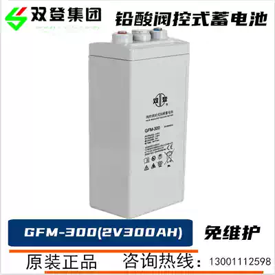 Shuangdeng 2V300ah lead-acid maintenance-free GFM-300 battery 2v machine room base station ship ups emergency