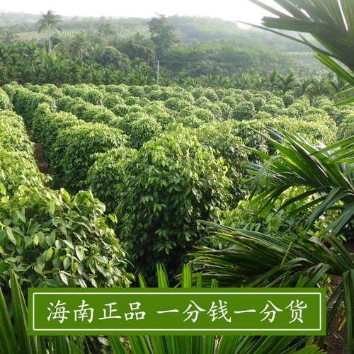 Hainan черный перец розовый стейк перец