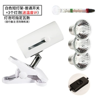 Белый переключатель, лампочка, 3 шт