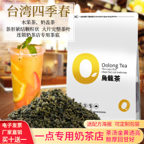 Falling Branches Flowers Terrace Bay All Season Spring Tea Milk Tea Special Gold Gui Flavor Alpine Oolong Tea Fruit Tea Milk Cover Tea Base