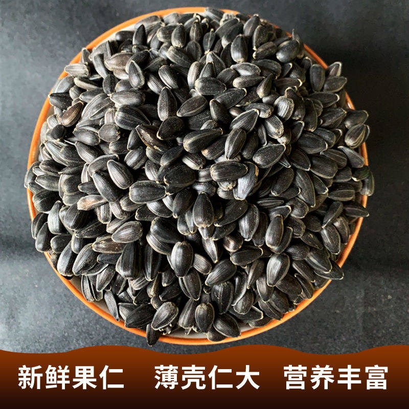 黑珍珠小瓜子葵花子油葵籽零食鸟食仓鼠松鼠鹦鹉鸟粮五斤装包邮