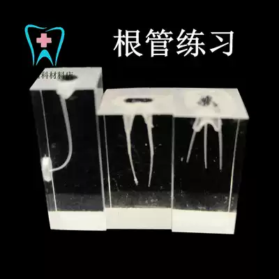 Dental root canal practice block machine Expansion preparation thermosetting device filling simulation tooth pulp 5