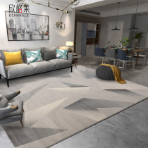 European-style ins wind Nordic carpet Living room Bedroom bedside mat full bunk room Simple modern sofa blanket Coffee table blanket